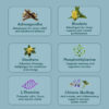 ZenAdren - Adaptogen & Adrenal Support - Image 4