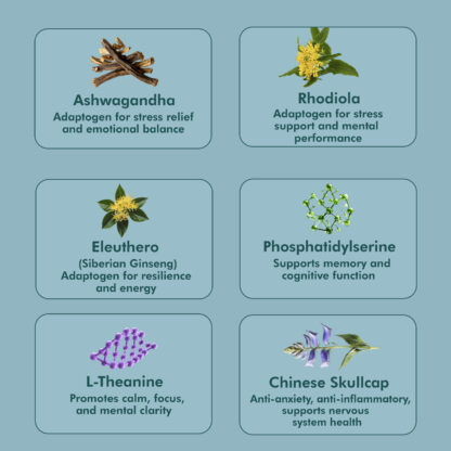 ZenAdren - Adaptogen & Adrenal Support - Image 4