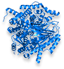 Phosphatidylserine